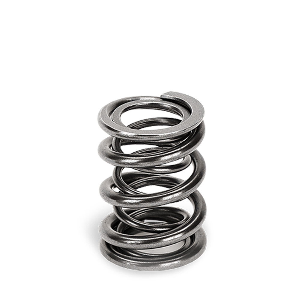 Single Valve Springs